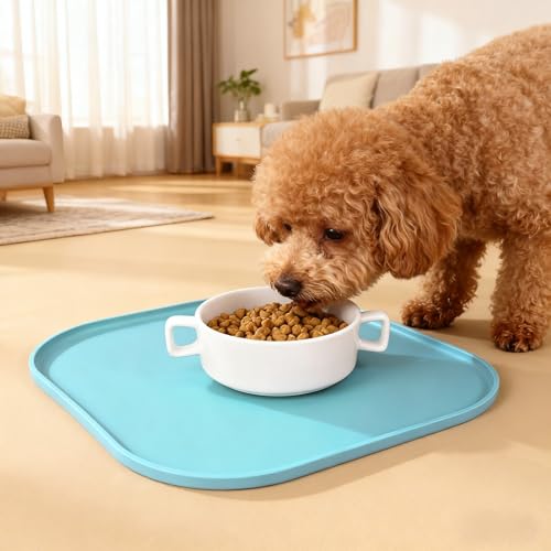 2-teiliges Set Wasserfeste Silikon Futtermatte für Hunde und Katzen, Quadratisches Futtertablett, rutschfeste, Leicht zu Reinigende Fressnapf-Unterlage, Lebensmittelecht (Mintgrün, 26cm x 26cm)