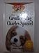 The Cavalier King Charles Spaniel: An Owner's Guide to a Happy Healthy Pet
