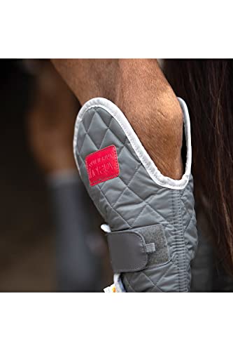 Equilibrium Therapy Hind & Hock Magnetic Chap X Large gris pour jarret de cheval