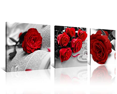 NAN Wind 3 Pcs Black White with Red Wall Art