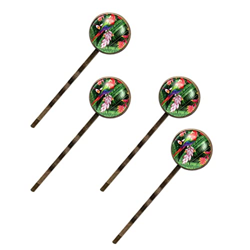 Lot de 4 barrettes à cheveux femme motif perroquet à offrir en cadeau
