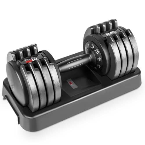 Fitfiu Fitness PA-250 - Mancuerna Ajustable de 5kg hasta 25kg para Entrenamientos musculación Indoor, Pesa Regulable hasta 25kg