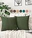 pamuq Kissenbezug 40x40 Samt, olivgrün, 2er Set - 2 Kissenbezüge mit Reissverschluss für Dekokissen, Zierkissen, Sofakissen, Couchkissen - Deko Kissen Bezug Kissenhülle für Schlafzimmer & Wohnzimmer