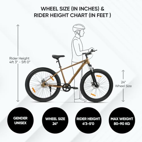 Image of ROADGIANT Squad 24T| MTB | Steel Bicycle | Dual Disc Brakes | Single Speed | Front Suspension | Unisex| for All-Terrain Bike for Ages 13+ Years (Brown)