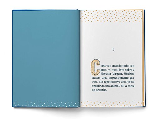 O Pequeno Príncipe - Edição Luxo