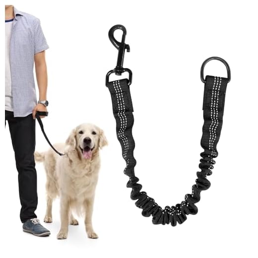 Laisse Chien Amortisseur Élastique 42cm – Laisse Courte Nylon avec Fil Réfléchissant – Anti-Chocs pour Chiens Moyens/Grands, Vélo Et Randonnée