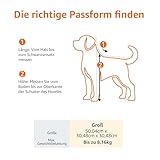 Amazon Basics Haustiertragetasche, weich für Hund, L, schwarz, L 50 x B 30.4 x H 30.4 cm