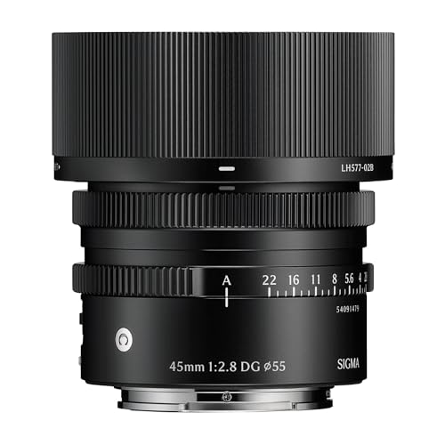45mm F2.8 DG II �R���e���|�����[ (�u���b�N) I �V���[�Y Sony E�}�E���g�p