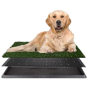 Artificial Grass Puppy Pee Pad for Dogs and Small Pets – 20×30 Reusable 3-Layer Potty Training Pad with Tray – Dog House and Pet Supplies by PETMAKER