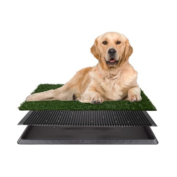 Artificial Grass Puppy Pee Pad for Dogs and Small Pets – 20×30 Reusable 3-Layer Potty Training Pad with Tray – Dog House and Pet Supplies by PETMAKER