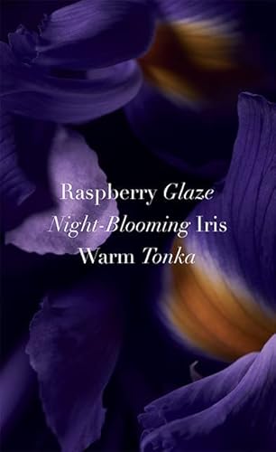 Victoria's Secret Tease Candy Noir Eau de Parfum