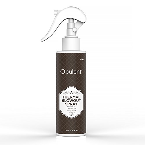 Heat Protectant Spray – Cut Your Hair Dry Time in Half - Professional Blow Dry Spray for Flat Iron – Infused with Argan