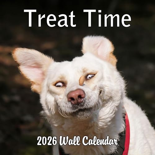 2026 Treat Time Monthly Wall Calendar - Dogs Making Funny