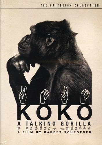 Koko: A Talking Gorilla (The Criterion Collection) [DVD]