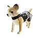 Doggles Biker Dress Dog Harness, Black, Teacup