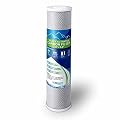 High Capacity Coconut Shell Carbon Block Water Filter 5 Micron Cartridge 4.5" x 20" for Universal Whole House System WELL-MATCHED with CB-45-2005, FC25B, FLTWH2045C02 and PRL-RCL