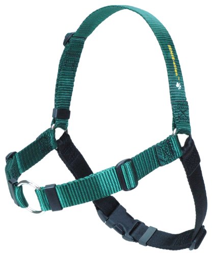 Sense-ation No-Pull Dog Harness - Green with Black Medium/Large Wide