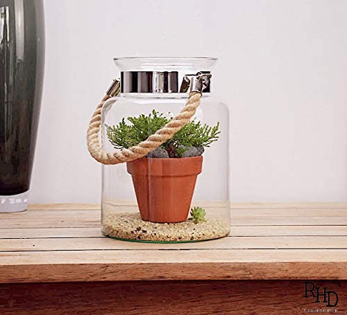 Image of Elegant Clear Glass for Home Decor | Decorative Lighting | Lantern with Jute Handle | Hanging Glass Planters Decoration | Garden Planters Borosilicate Glass (Clear, Large)