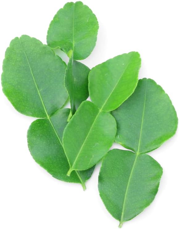 Fresh Thai Kaffir Lime Leaves (75g)