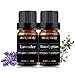 Lavender and Eucalyptus Essential Oil, 100% Pure, Undiluted, Natural, Organic Aromatherapy Essential Oils Gift Set, 10MLx2
