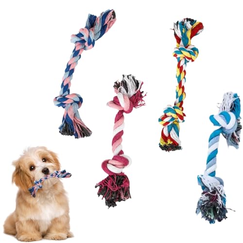 Set da 4 pezzi cuccioli di cane, dentizione resistente ai morsi masticazione per cani e taglia media grande cane.