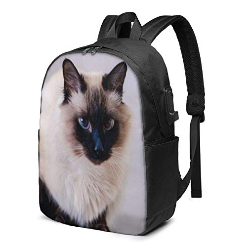 AOOEDM Domestic Fur Animal Cat Bali Mochila para computadora portátil Viajes de Negocios Mochila Duradera para computadoras portátiles con Puerto de Carga USB Bolsa para computadora de la Escuela Uni