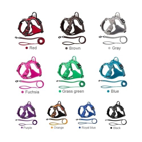 Training a dog with Pet Harness+ Leash Set
