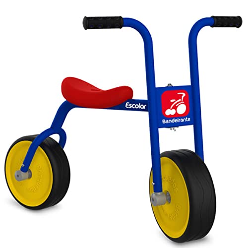 BICICLETA DE EQUILIBRIO ESCOLAR + 4