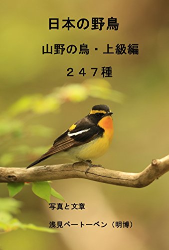 無料電子書籍 アプリ 日本の野鳥 山野の鳥 上級編 247種類 バイ