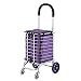 L.ORE Carro de la Compra Plegable Carro de Equipaje portátil Trolley Trolley Trolley pequeño hogar Ancianos (Color: 4 Ruedas)