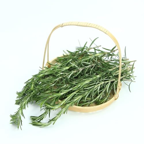 romero - semillas semillas orgánicas de cocina jardín - raras romero resistentes al invierno para el jardín silvestres decoración 5000pcs