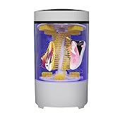 Nettoyage en profondeur, 15 minutes pour rafraîchir les chaussures, nettoyage complet à 360°, l'effet nettoyant est incroyable