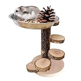 Activation de l'instinct d'escalade : conçue pour s'adapter aux tendances naturelles d'escalade des hamsters, l'échelle rotative favorise les mouvements quotidiens et contribue à une ambiance de cage vivante et décorative.
