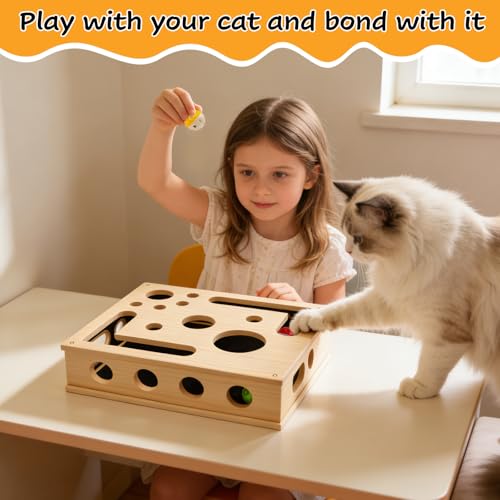 Beschäftigungsbox Katzen, Katzenkratzpuzzle Anreicherungsbox, Kratzpuzzle Spielbox Holz Katzens, Interaktives Spielzeug Katzens mit Bällen, Katze Kratzbrett, Spielzeugkiste für Indoor Katzen Kätzchen