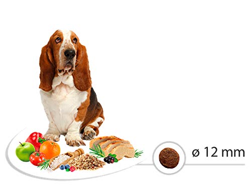 Select Senior Chicken 3 kg, 3000 g