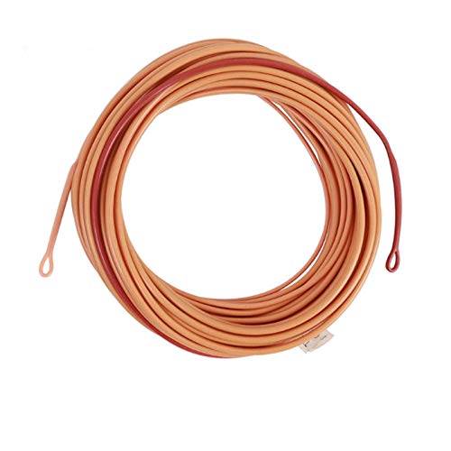 Maxcatch Skagit Shooting Head Fly Line 200GR-650GR 17FT-25FT with 2 Welded Loops (Honey/Brown, 23FT 500gr)