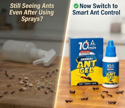 Image of Amish Herbal Ant Gel Pack of 2 | 10 Min Max Bait Formula | Powerful Organic Repellent & Cleaner | Removes Red,Black Ant, Antox Pests | Natural Dawa Protector for Home & Kitchen