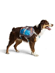 Cesar Millan Hunde-Rucksack Größe M