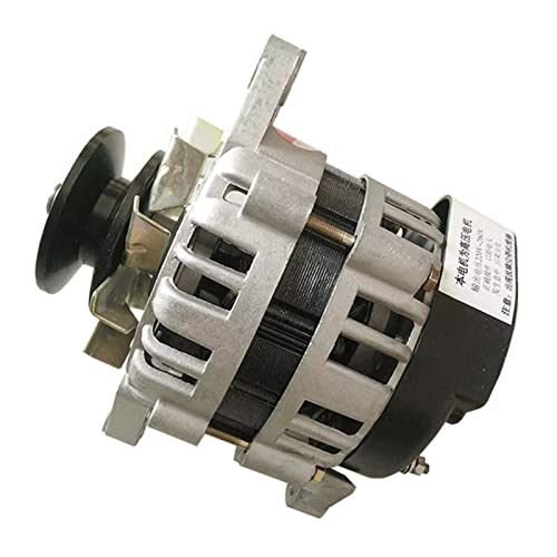 Generatore permanente permanente 220V, Motore per la casa della tensione costante senza spazzole, Core Rame Home Lighting Piccola alternatore-220V 1500W