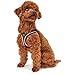 HUNTER Hundegeschirr HILO COMFORT, Farbe: orange, Easy Step-In Geschirr für kleine bis mittlere Hunde, mit Netzmaterial, reflektierende Elemente, angenehm leicht, modernes Design Größe: XS
