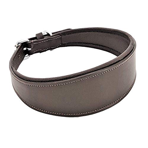 FDC Genuine Leather Soft Padded Oval Dog Collar for Medium and Large Breed (M: Neck 13" - 16")