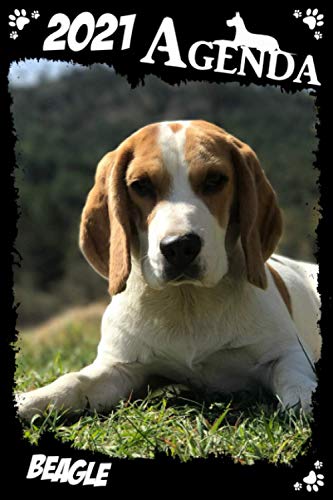 Télécharger Agenda 2021 Beagle: Agenda 2021 semainier Chien: Janvier 2021 à Décembre 2021 | Format A5 | Le Cad PDF Ebook En Ligne