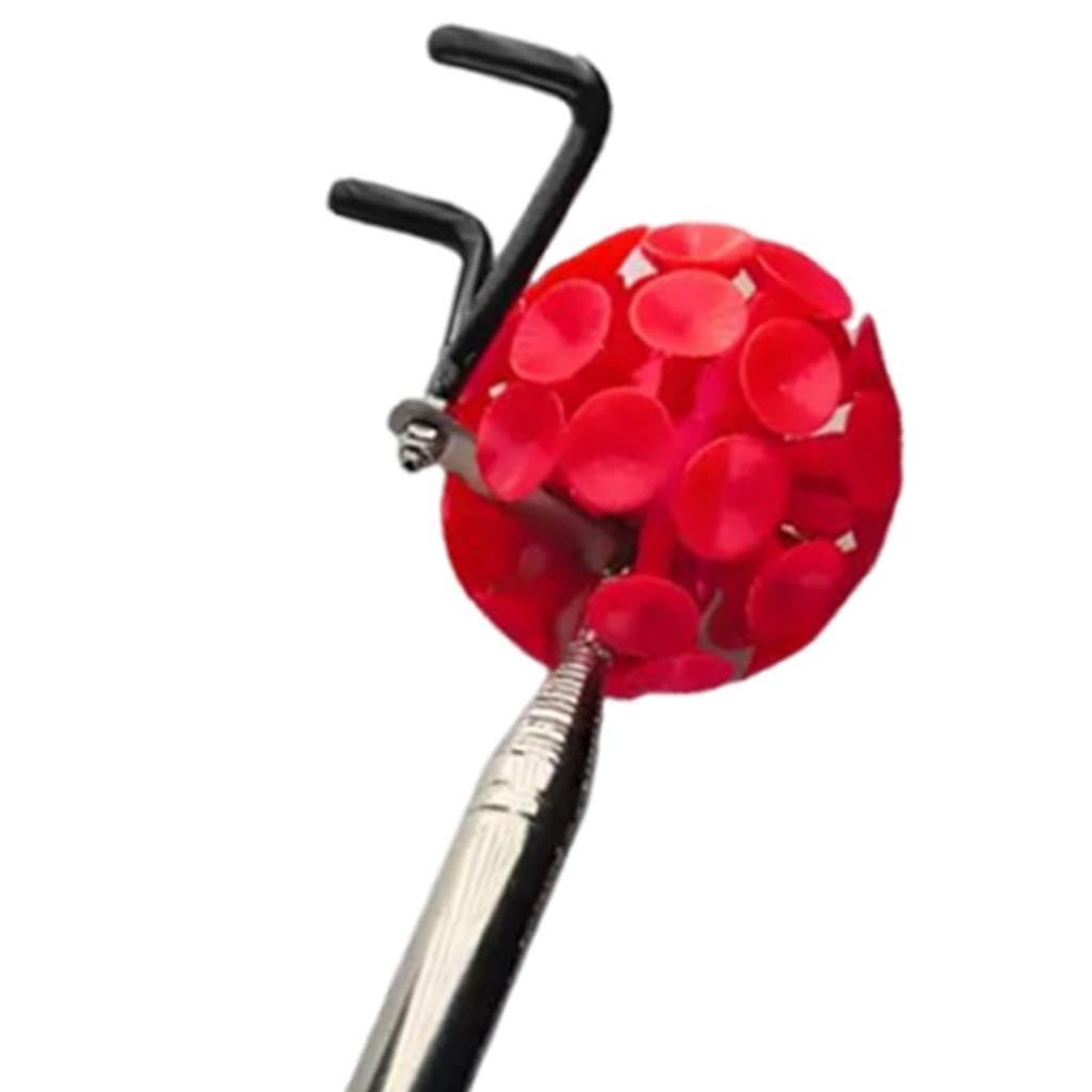Praktischer Disc Golf Retriever mit Ausziehbarer Stange Saugnapf Und Haken Aus Langlebigem Edelstahl für Müheloses von Discs für Profis Und An