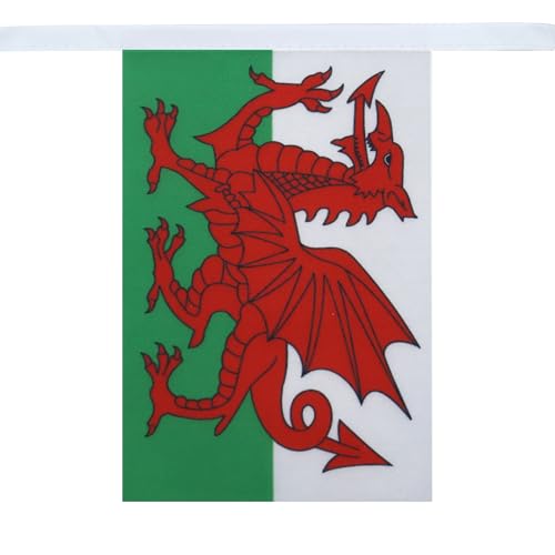 Image of AZ FLAG Wales 6 meters BUNTING Flag 20 flags 9'' x 6'' - Welsh STRING flags 15 x 21 cm
