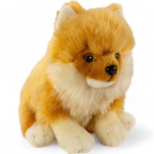 Carl Dick Zwergspitz, Pomeranian Hund sitzend, Hund, Plüschtier, Kuscheltier, ca. 25cm 3557