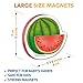 Little World Large Set of Waterproof Foam Fridge Magnets for Toddlers 1-3 - Refrigerator Magnets for Kids – Baby Magnets for Refrigerator 1 Year Old - Fruits and Vegetables Magnets for Toddlers 1-2