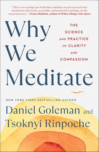 Why We Meditate: The Science and Practice of Clarity and