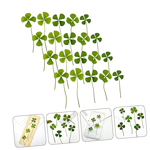 STOBAZA 24pcs Hojas Secas Naturales para Manualidades miniatura 6