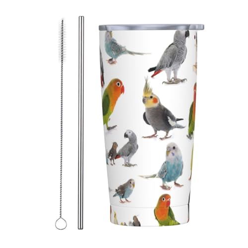 CR IE  }OJbv R[q[Jbv RrjJbv ۗ ۉ ^u[ XeX ^fM}O Wt ^ ڃhbv ԗp Aj LN^[ ObY 킢 v[g 600ml Straw Two-Piece Set