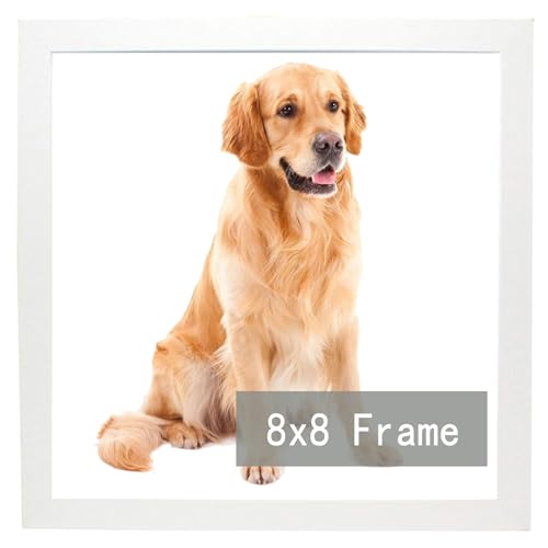RUN HELIX 8x8 Picture Frame for 8by8 Square Poster Photo Canvas Certificate White High Transparent Photo Frame Wall Desktop Horizontal Vertical 8 x 8,White white 8X8inch(set of 1)
